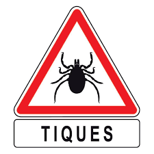 N°2 - LES ESSENTIELS - LES TIQUES