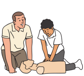 formation continue des professionnels