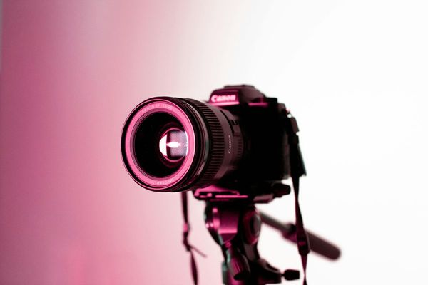 Exposition photo de Nicolas Bottin
