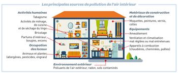 Comment avoir un air intérieur plus sain