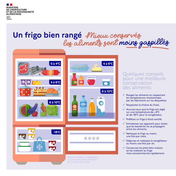 Un frigo bien rangé, des aliments mieux conservés