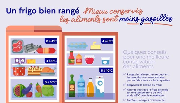 Un frigo bien rangé, des aliments mieux conservés